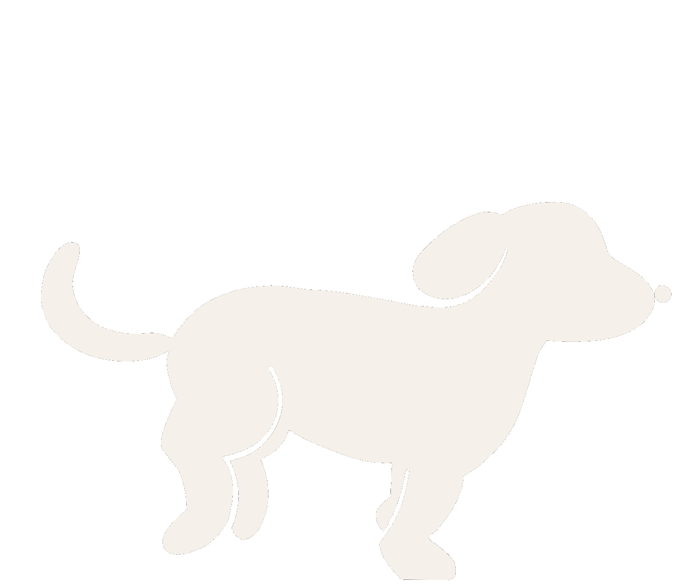 Scout the dog, running